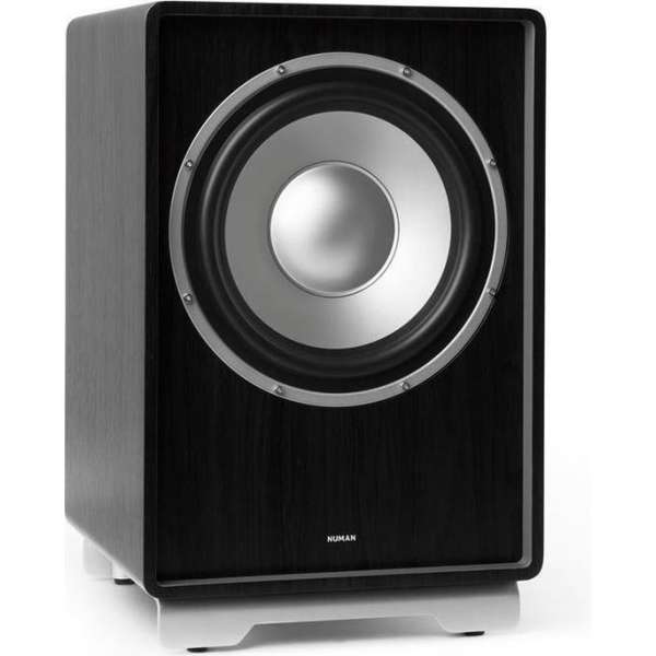 RetroSub - aktieve subwoofer 25,4 cm , geïntegreerde versterkermodule , meervoudig verstijfd, resonantiearme MDF-behuizing RetroSub - aktieve subwoofer 25,4 cm , geïntegreerde versterkermodule , meervoudig verstijfd, resonantiearme MDF-behuizing