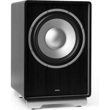 RetroSub - aktieve subwoofer 25,4 cm , geïntegreerde versterkermodule , meervoudig verstijfd, resonantiearme MDF-behuizing