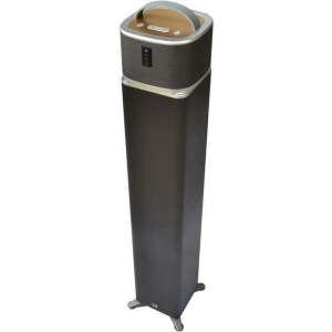 DUAL I-TWO-toren met afneembare luidspreker - Wifi, Bluetooth - 30 W -