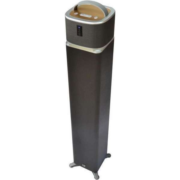 DUAL I-TWO-toren met afneembare luidspreker - Wifi, Bluetooth - 30 W -