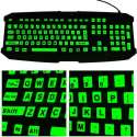 Toetsenbord stickers Glow in the dark - PC en laptop - QWERTY