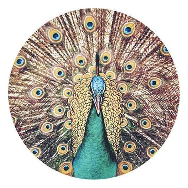 Moodadventures | Computer Accessoires | Muismat Rond Pauw | 20 x 20 cm. Moodadventures | Computer Accessoires | Muismat Rond Pauw | 20 x 20 cm.