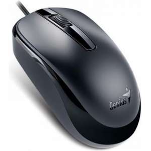 Genius DX-120 muis USB Type-A Optisch 1000 DPI Ambidextrous