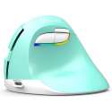 Delux M618 Mini/Medium - Mintgroen - Draadloos (2,4ghz + Bluetooth) + oplaadbare accu