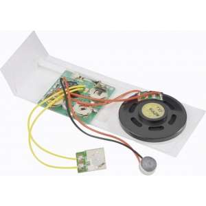 Geluidsregistratiemodule Module 4.5 V/DC Opnametijd 10 s (Leuk voor valentijn)