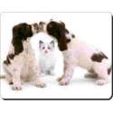 2 Kussende Cocker Spaniel met kat Muismat