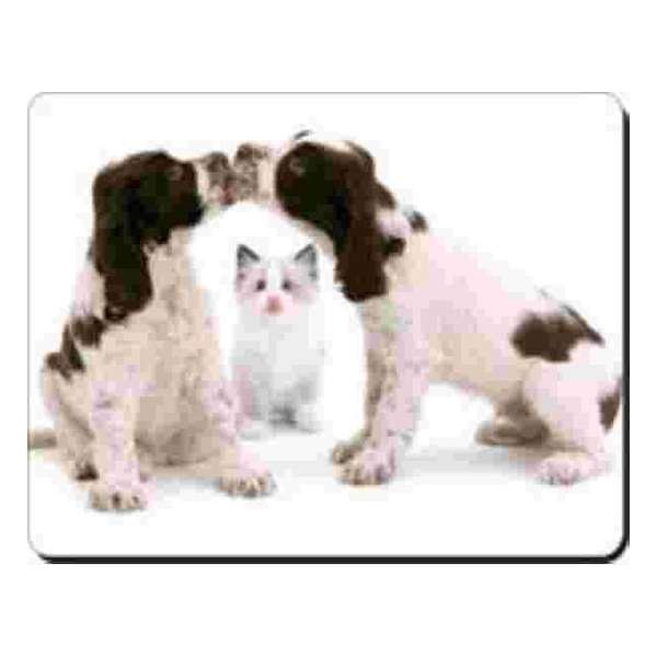 2 Kussende Cocker Spaniel met kat Muismat