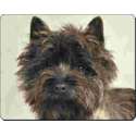Brindle Cairn Terrier Muismat