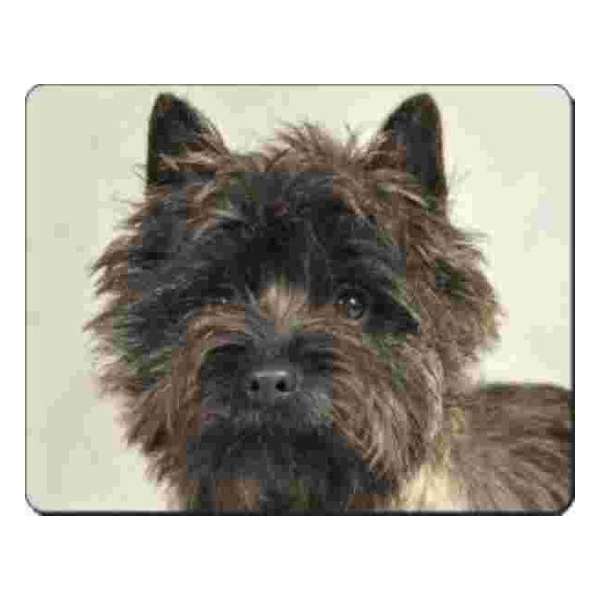 Brindle Cairn Terrier Muismat