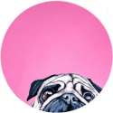 Moodadventures | Muismatten | Muismat Mopshondje Roze Rond | 20 x 20 cm.