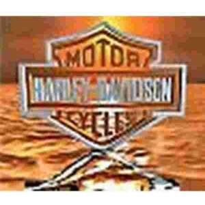 Harley Logo  Muismat