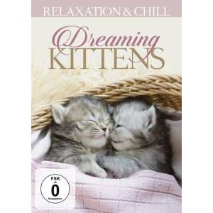 Dreaming Kittens