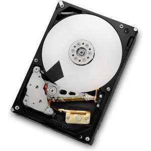 Western Digital Ultrastar 7K6000 3.5'' 6000 GB SAS