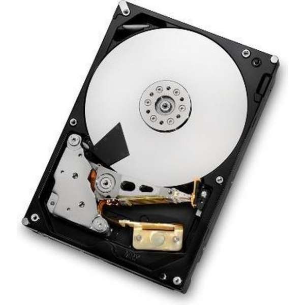 Western Digital Ultrastar 7K6000 3.5'' 6000 GB SAS