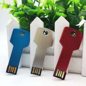 USB 2.0 Geheugenstick - USB Sleutel Memory Stick - Sleutelhanger - Voor De Windows PC & Apple Mac - 32GB