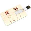 Venditio USB Credit Card - 64 GB 2.0 - Hond - USB Stick