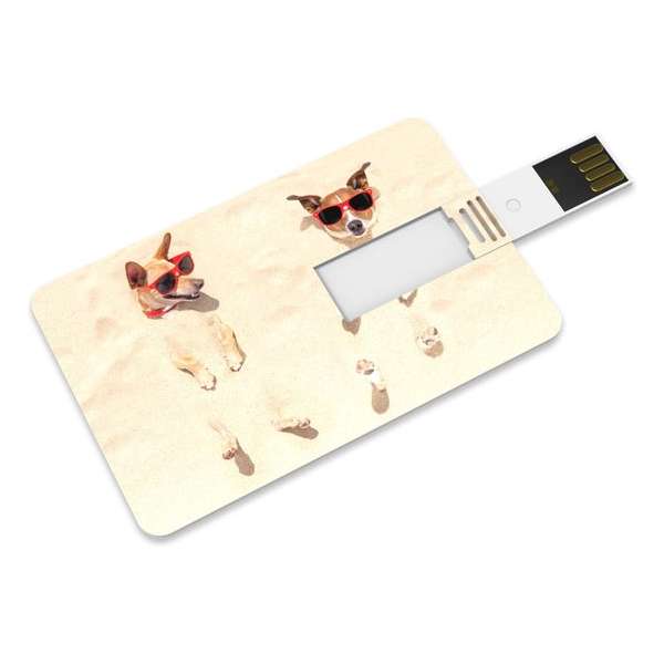 Venditio USB Credit Card - 64 GB 2.0 - Hond - USB Stick