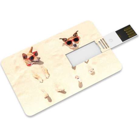 Venditio USB Credit Card - 64 GB 2.0 - Hond - USB Stick