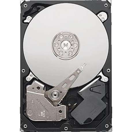 Seagate Video 3.5 - Interne harde schijf - 1 TB