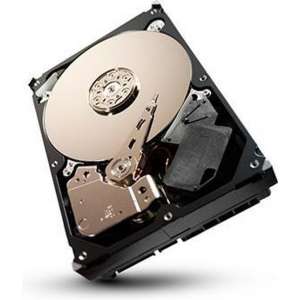 Seagate SV35 Series - Interne harde schijf - 1 TB