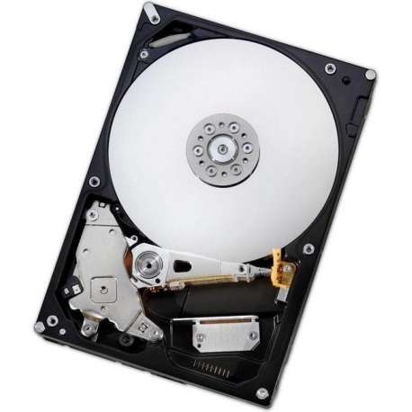 HGST interne harde schijven HE6