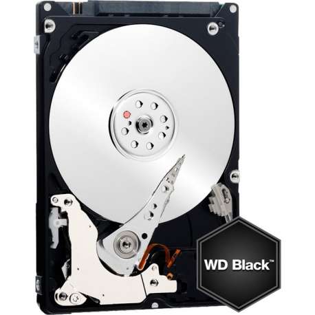 HDD : 2.5 500GB SATA6 7200 32MB Black 5Years warrenty