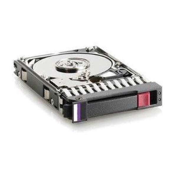 Hewlett Packard Enterprise 300GB 15000 rpm 4Gb/s Fibre Channel 300GB Fibre Channel interne harde schijf