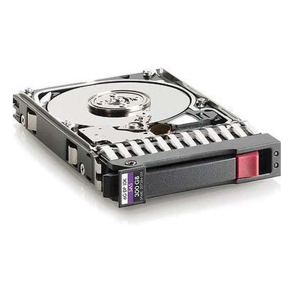 Hewlett Packard Enterprise 300GB hot-plug dual-port SAS 2.5''