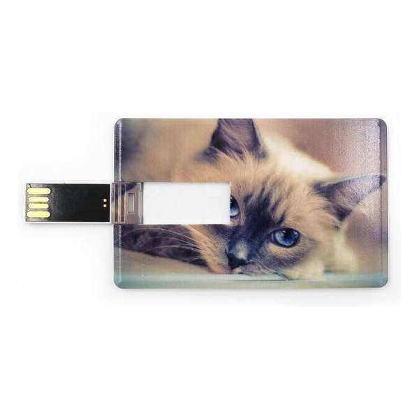 Creditcard USB Stick 16GB. Kat