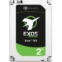 Seagate Enterprise - Interne harde schijf - 2 TB
