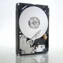 IBM IBM 49Y2078 - interne harde schijf - 600 GB