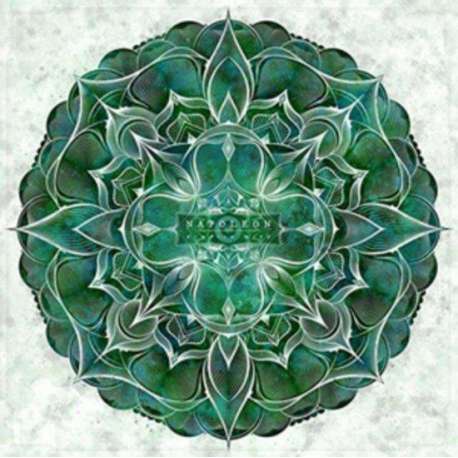 Newborn Mind