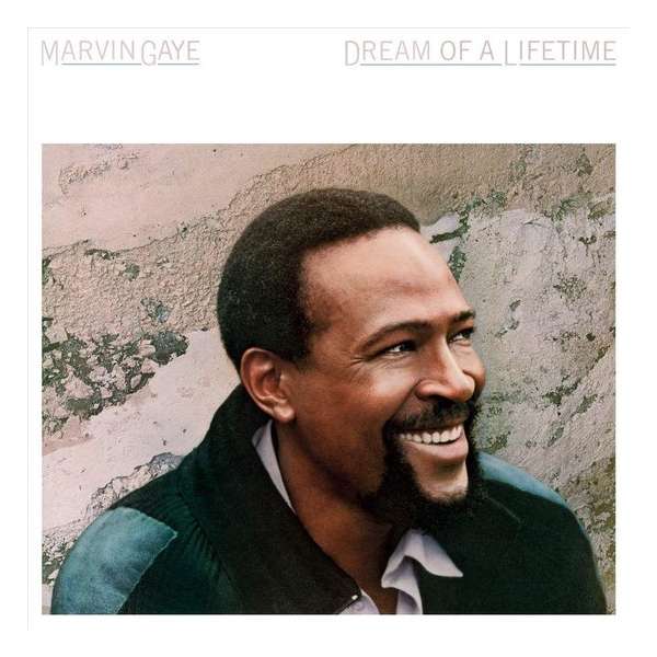 Dream Of A Lifetime -Clrd-