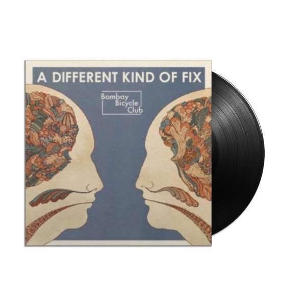 A Different Kind Of Fix (LP)