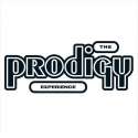 Experience (LP)
