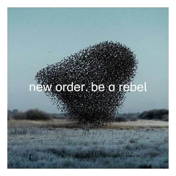 Be A Rebel