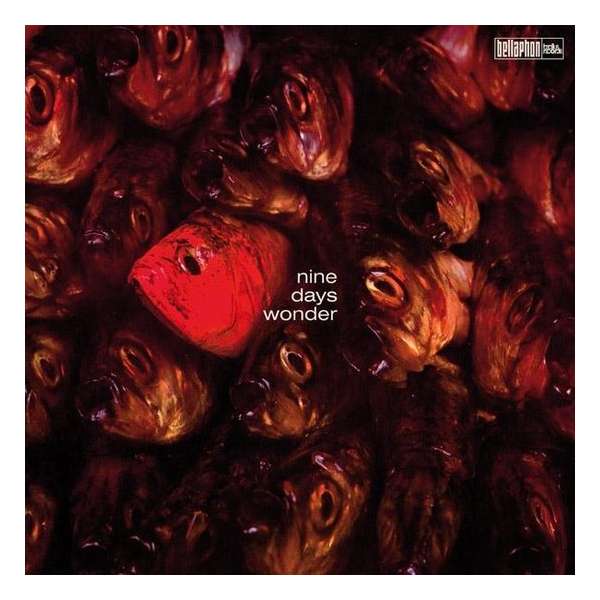 Nine Days Wonder (Coloured Vinyl)