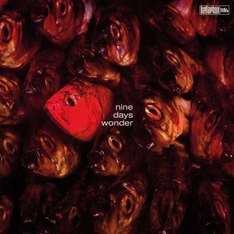 Nine Days Wonder (Coloured Vinyl)