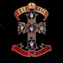 Appetite for Destruction